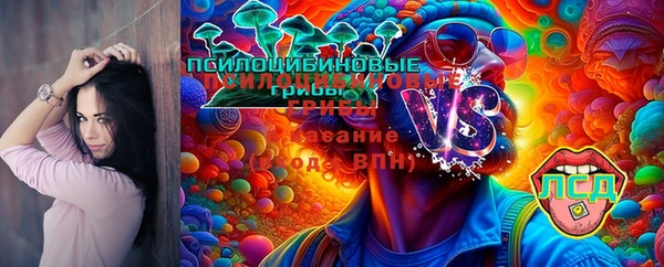 спиды Лабытнанги