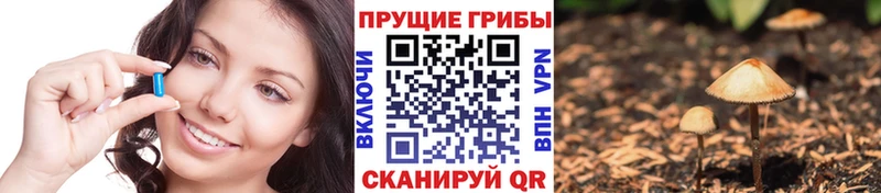 Купить где  Сатка  Галлюциногенные грибы Magic Shrooms 